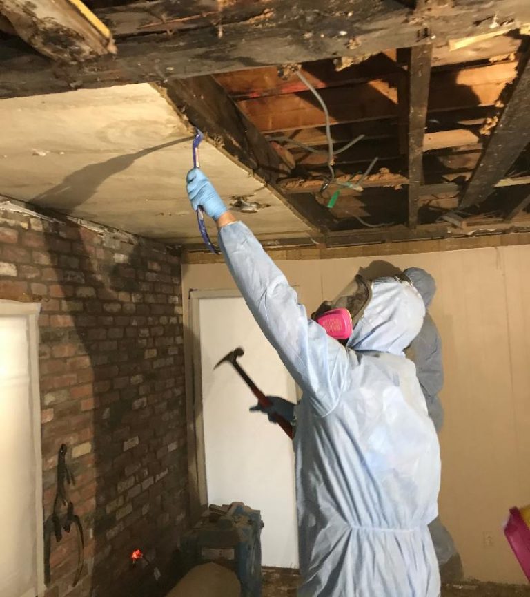 Mold Remediation Rhode Island