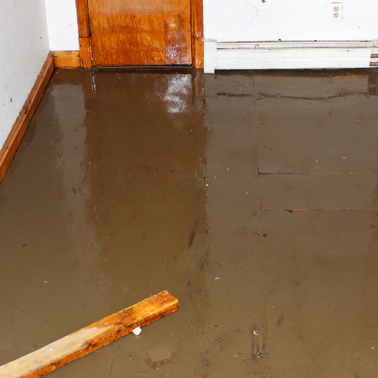 Effective Water Damage Restoration