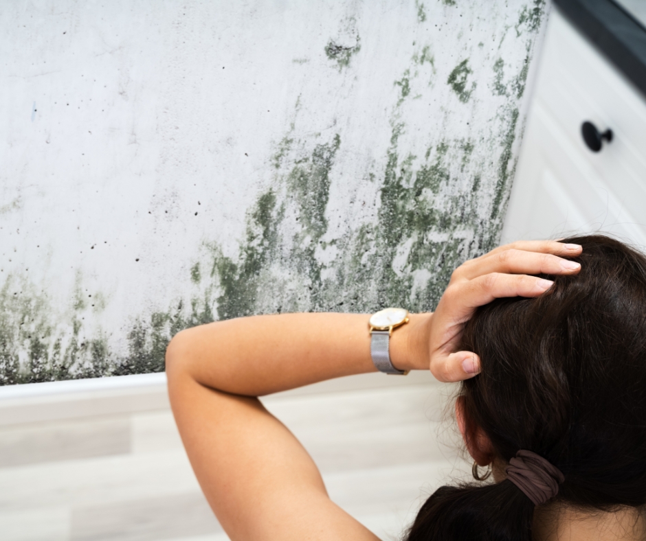 Mold Growing in bathroom