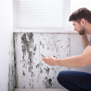 How Fast Can Mold Start Growing After Water Damage in Rhode Island