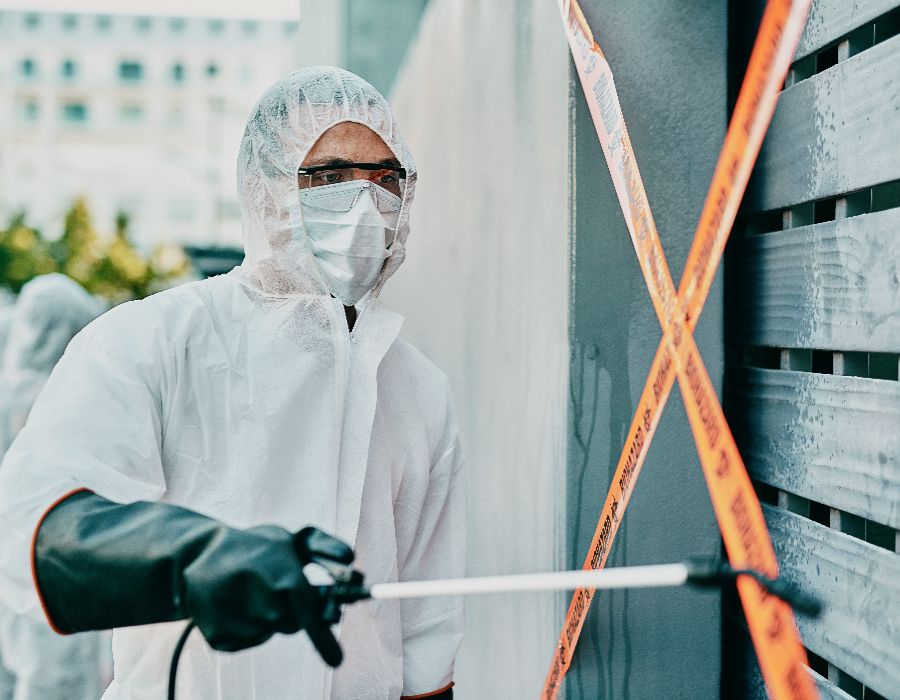 asbestos abatement services
